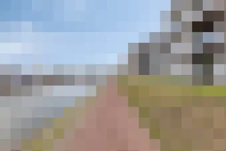 Nieuwe Zeedijk 1 K626 Hellevoetsluis thumbnail 42