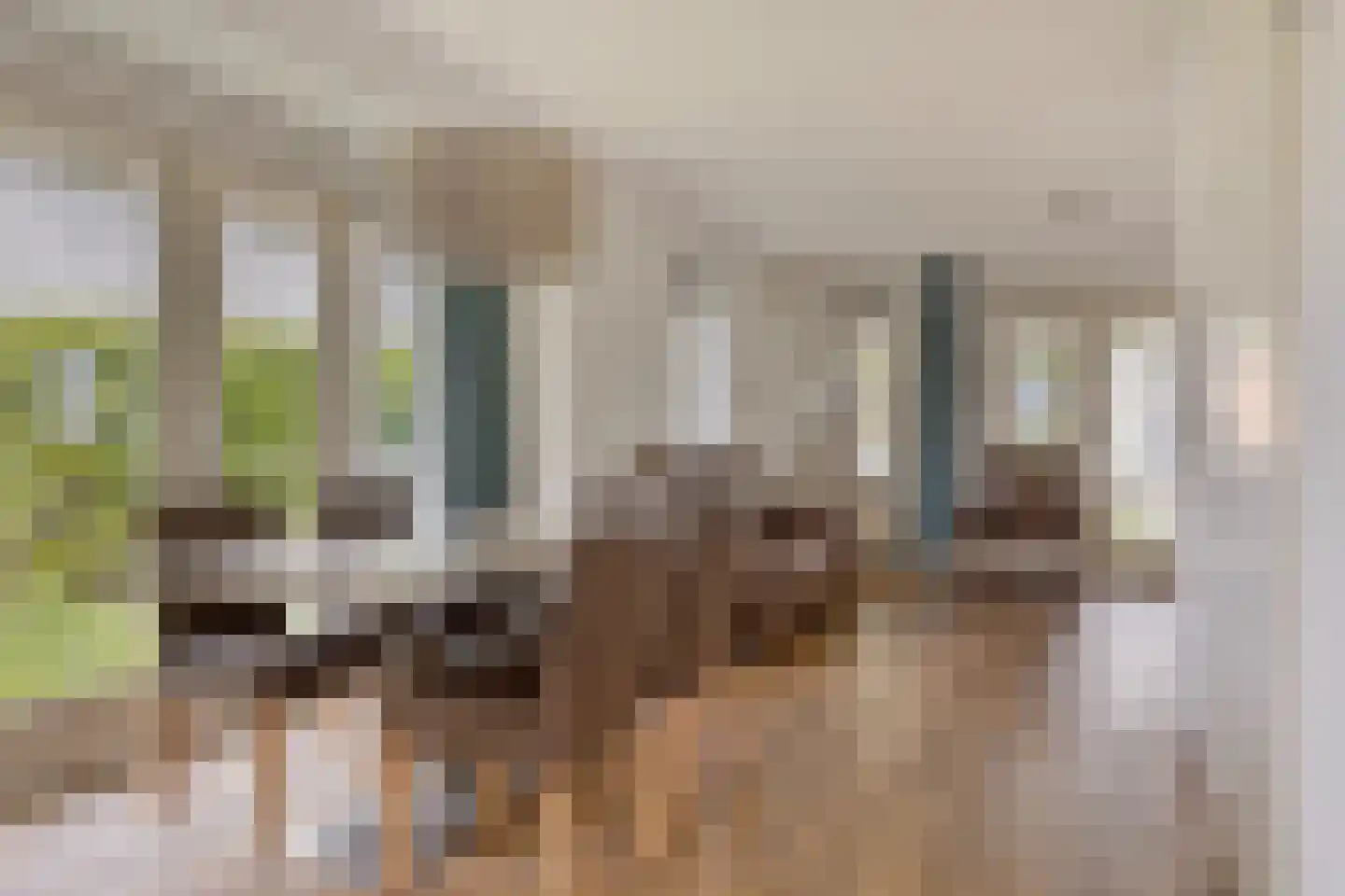 Nieuwe Zeedijk 1 K664 Hellevoetsluis thumbnail 11