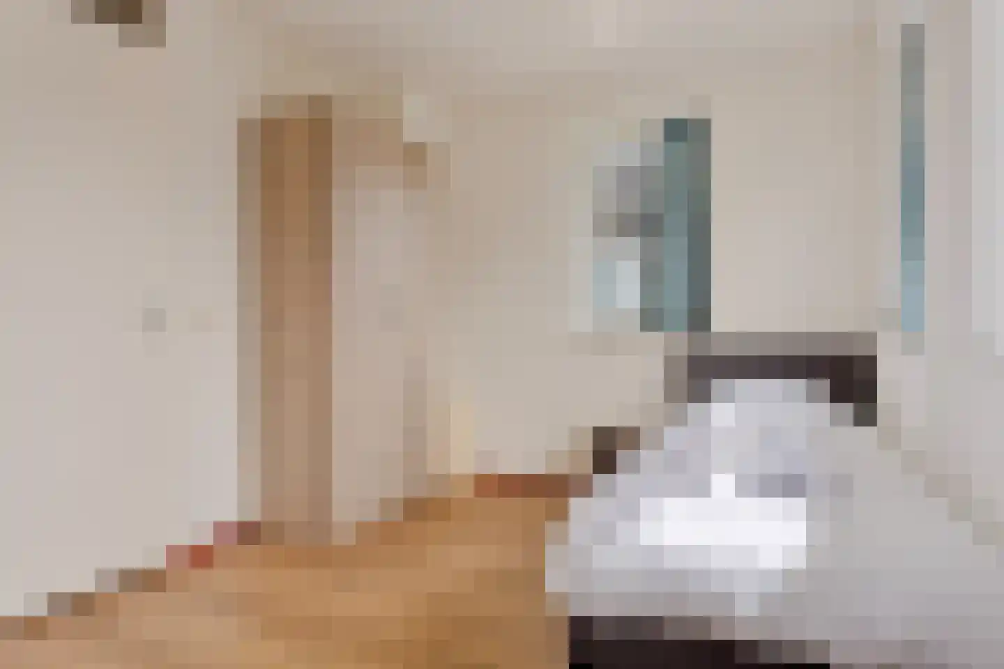 Nieuwe Zeedijk 1 K664 Hellevoetsluis thumbnail 22