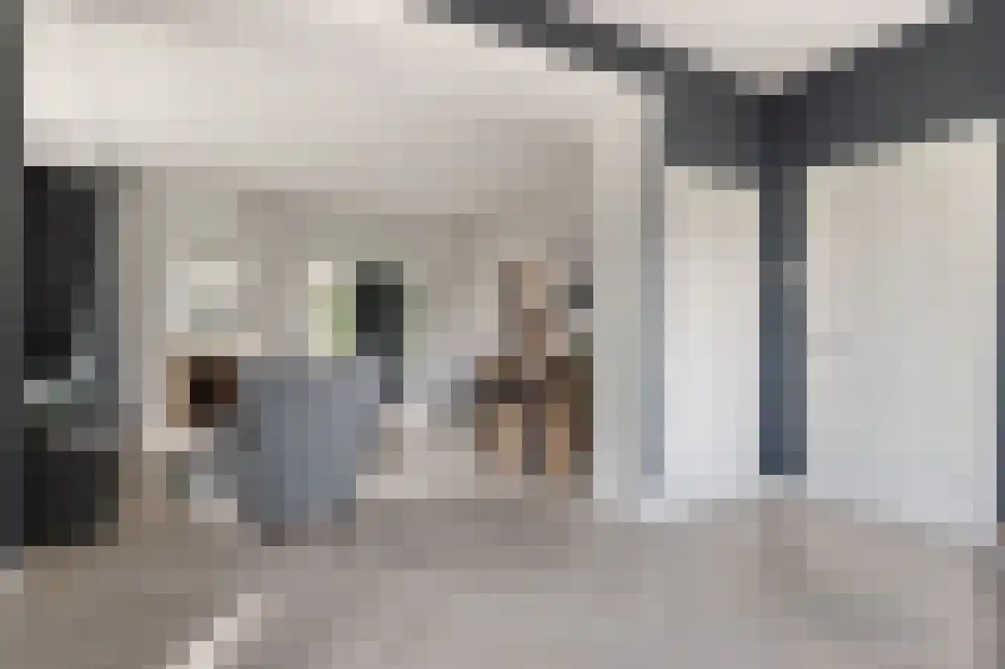 Nieuwe Zeeweg 46 Noordwijk thumbnail 10