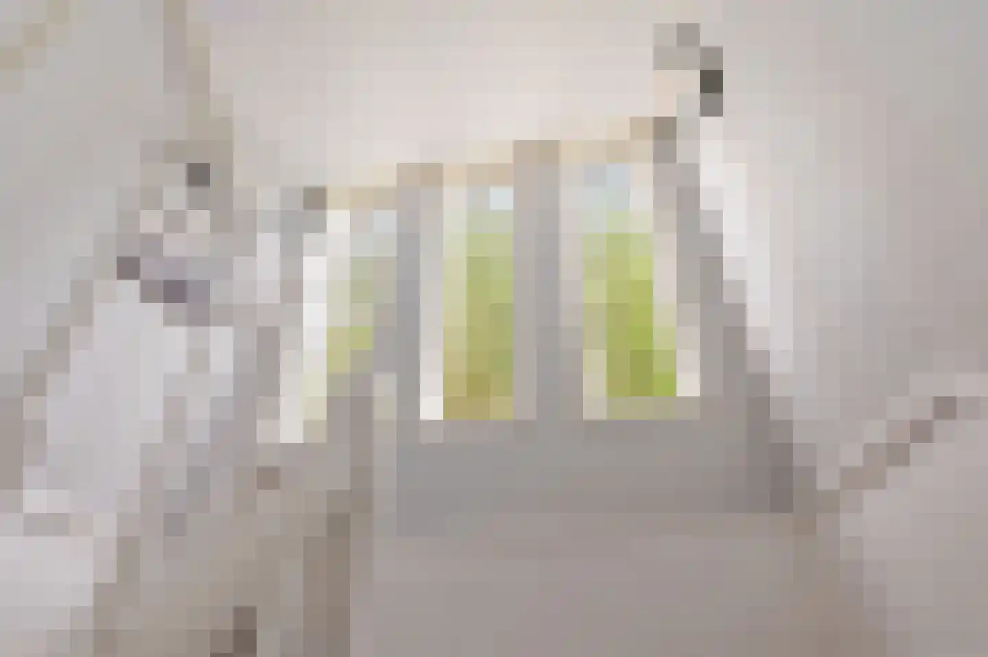 Nieuwe Zeeweg 46 Noordwijk thumbnail 28