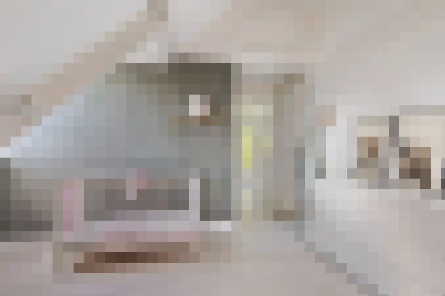 Nieuwe Zeeweg 46 Noordwijk thumbnail 47