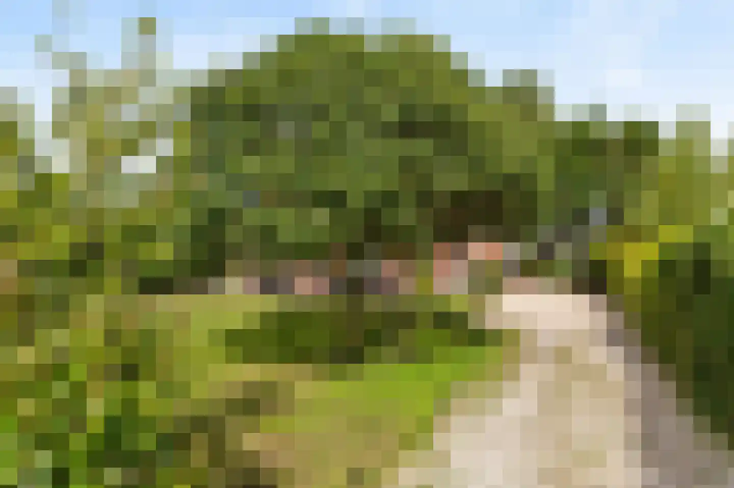 Nieuwe Zeeweg 46 Noordwijk thumbnail 53