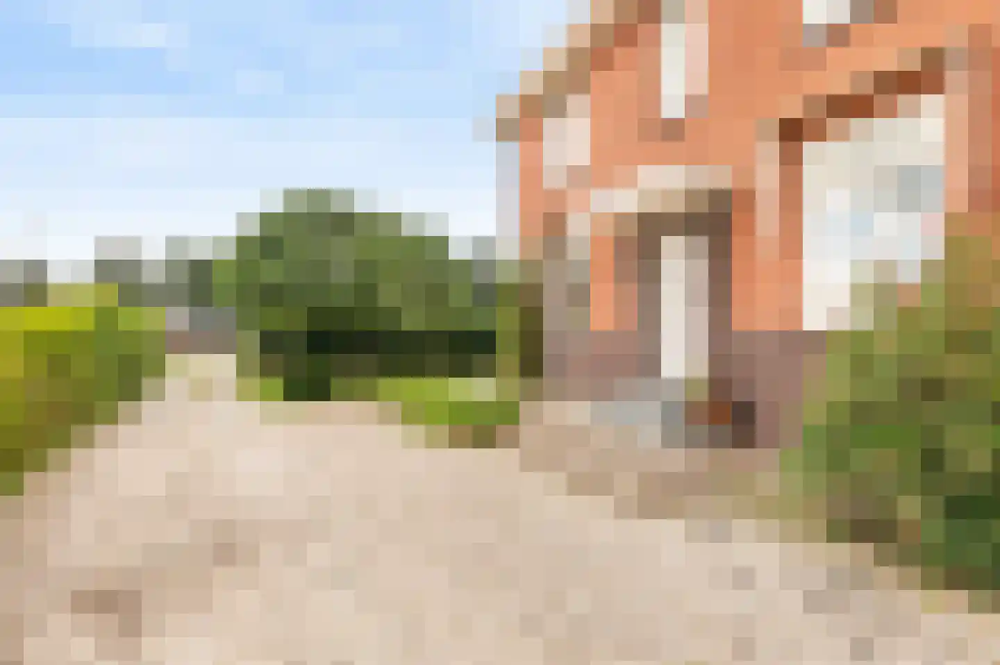 Nieuwe Zeeweg 46 Noordwijk thumbnail 54