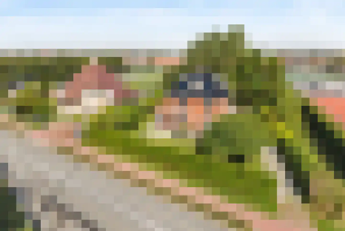 Nieuwe Zeeweg 46 Noordwijk thumbnail 56