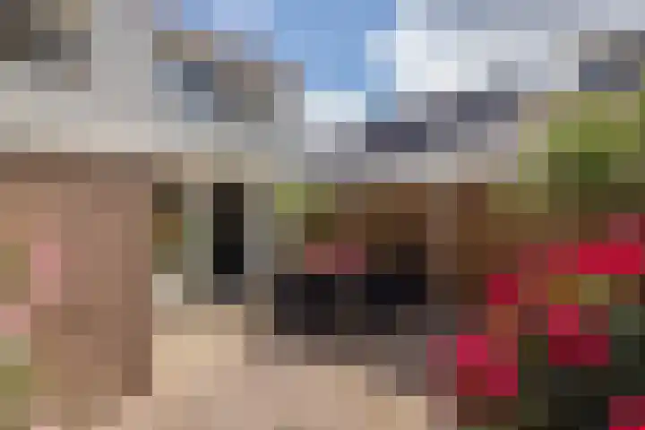 Nieuwe Zeeweg 74 Noordwijk thumbnail 27