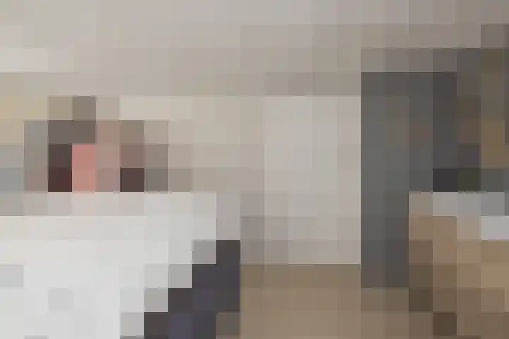 Nieuwe Zeeweg 74 Noordwijk thumbnail 37