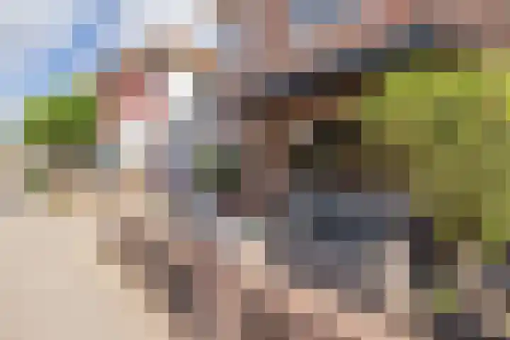 Nieuwe Zeeweg 74 Noordwijk thumbnail 4