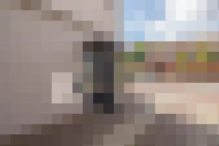 Nieuwe Zeeweg 74 Noordwijk thumbnail 5
