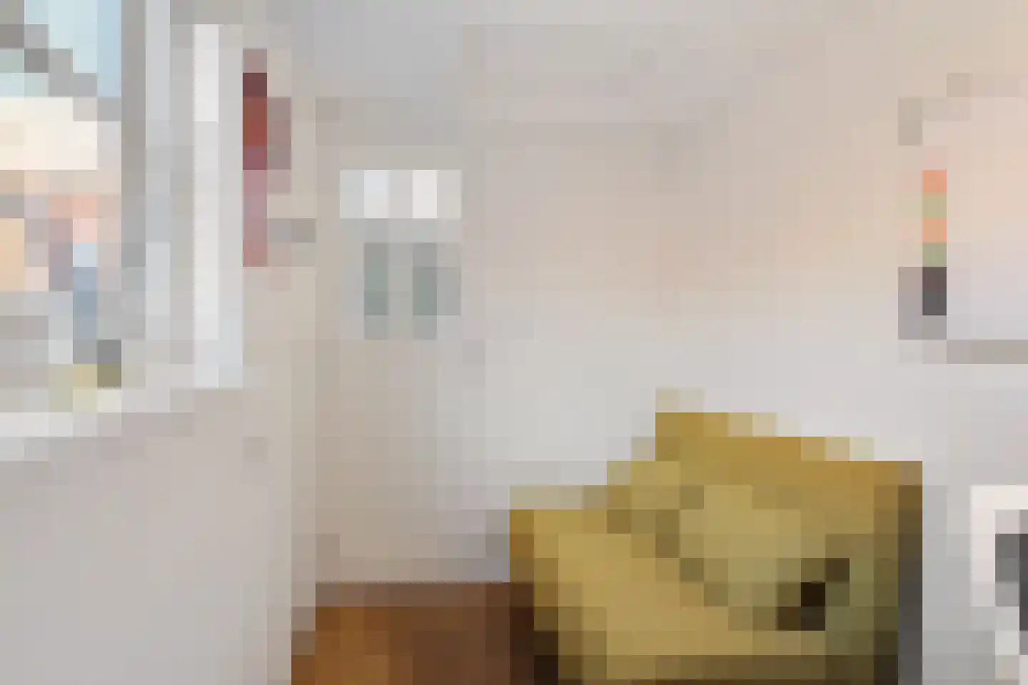 Nieuwe Zijds Burgwal 19 Monnickendam thumbnail 27