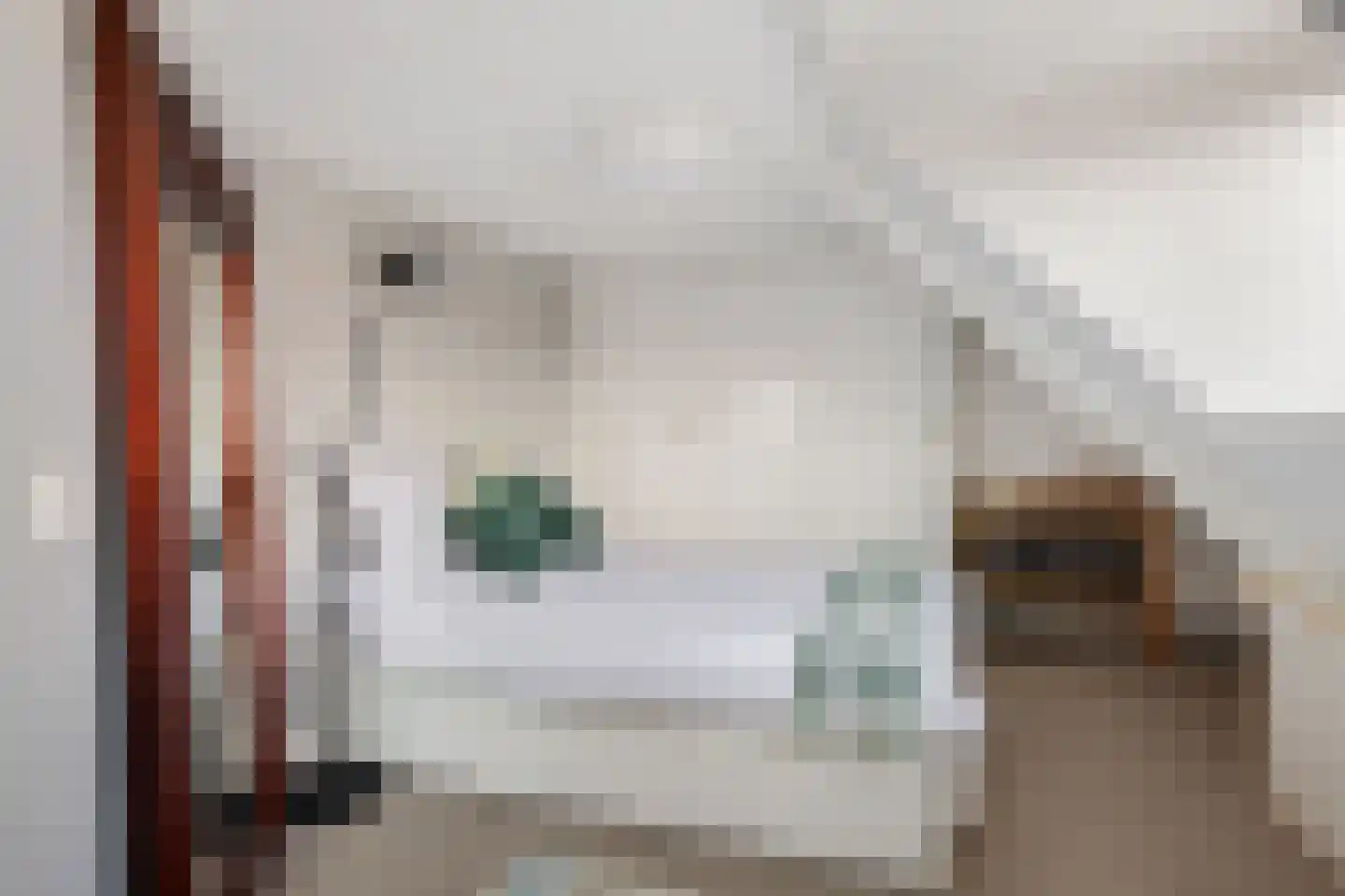 Nieuwe Zijds Burgwal 19 Monnickendam thumbnail 37