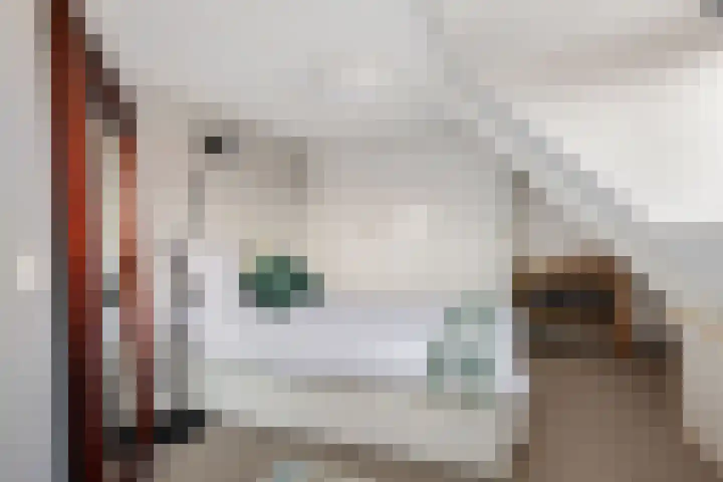 Nieuwe Zijds Burgwal 19 Monnickendam thumbnail 38
