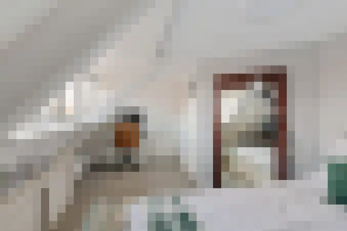Nieuwe Zijds Burgwal 19 Monnickendam thumbnail 39