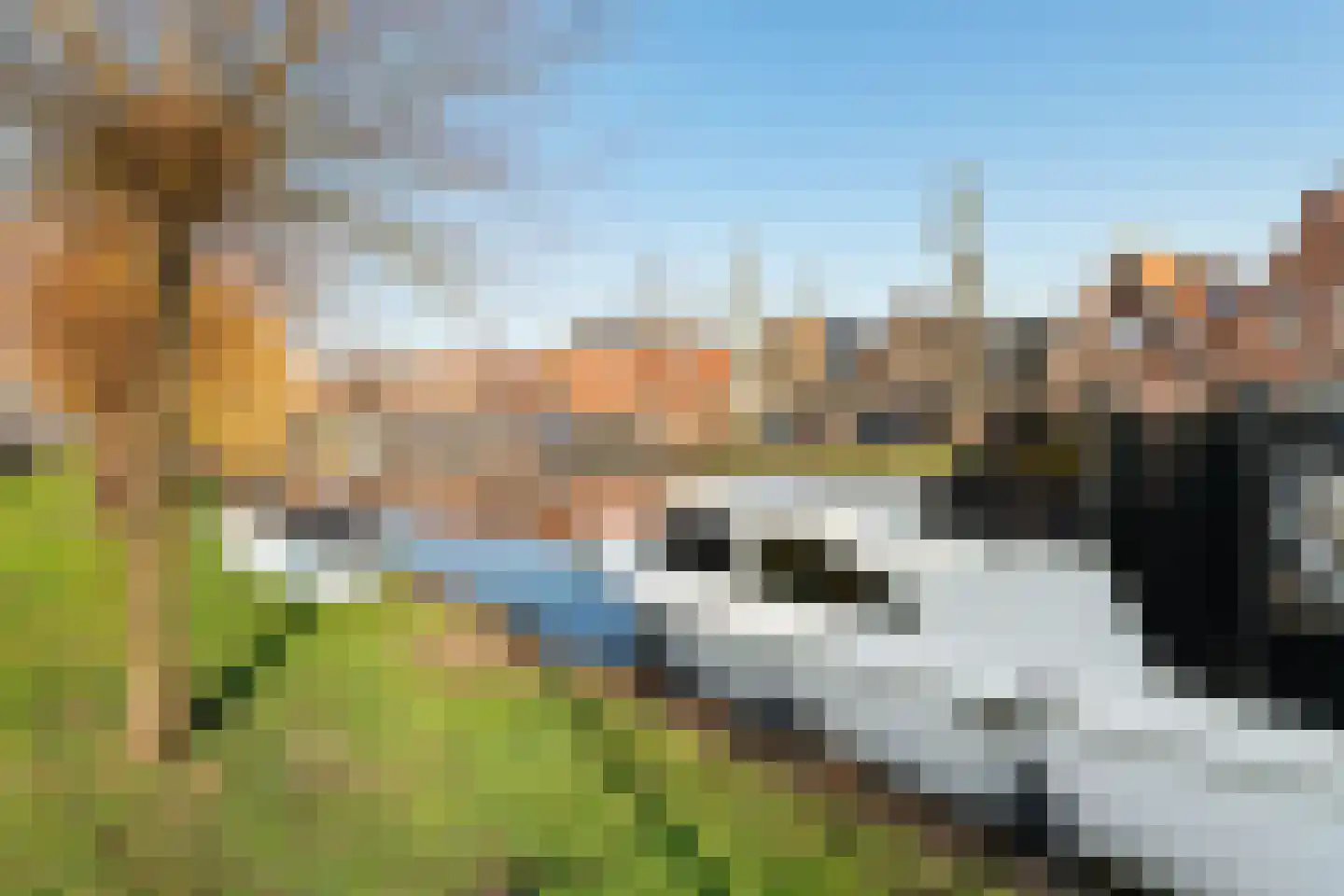 Nieuwe Zijds Burgwal 19 Monnickendam thumbnail 46