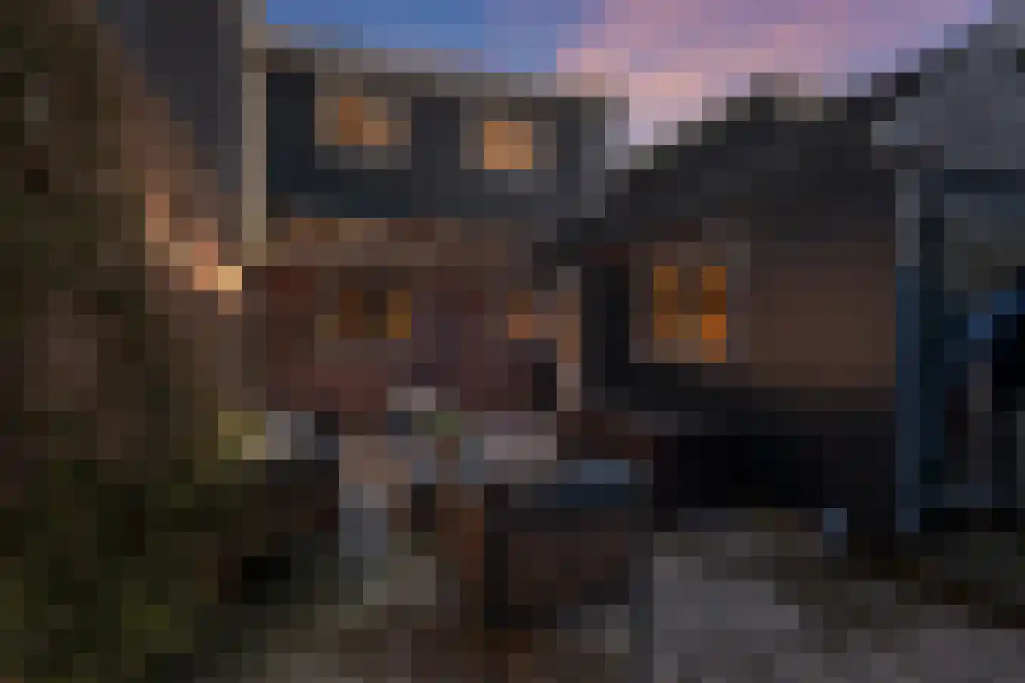 Nieuwe Zijds Burgwal 19 Monnickendam thumbnail 48