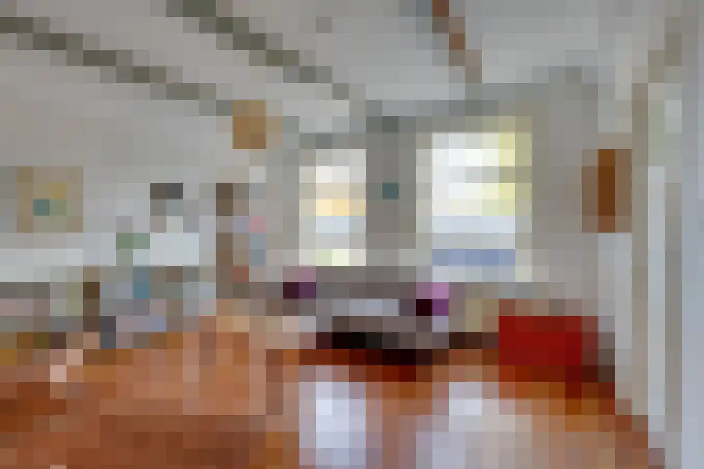 Nieuwe Zijds Burgwal 24 Monnickendam thumbnail 10