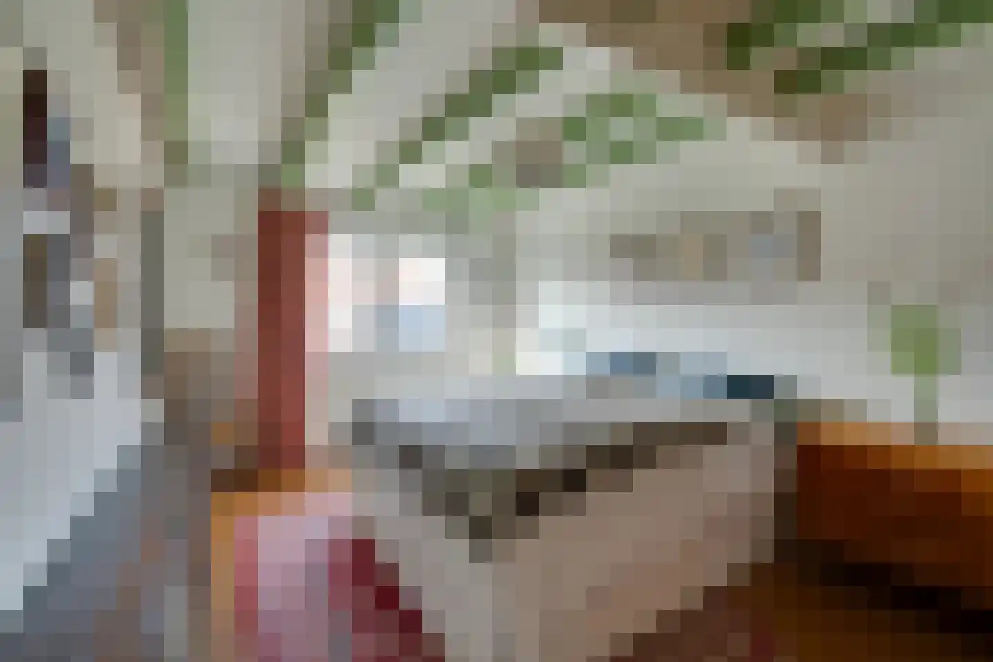 Nieuwe Zijds Burgwal 24 Monnickendam thumbnail 25