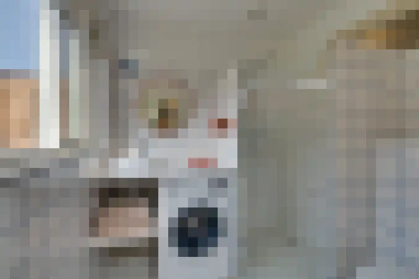 Nieuwe Zijds Burgwal 24 Monnickendam thumbnail 35