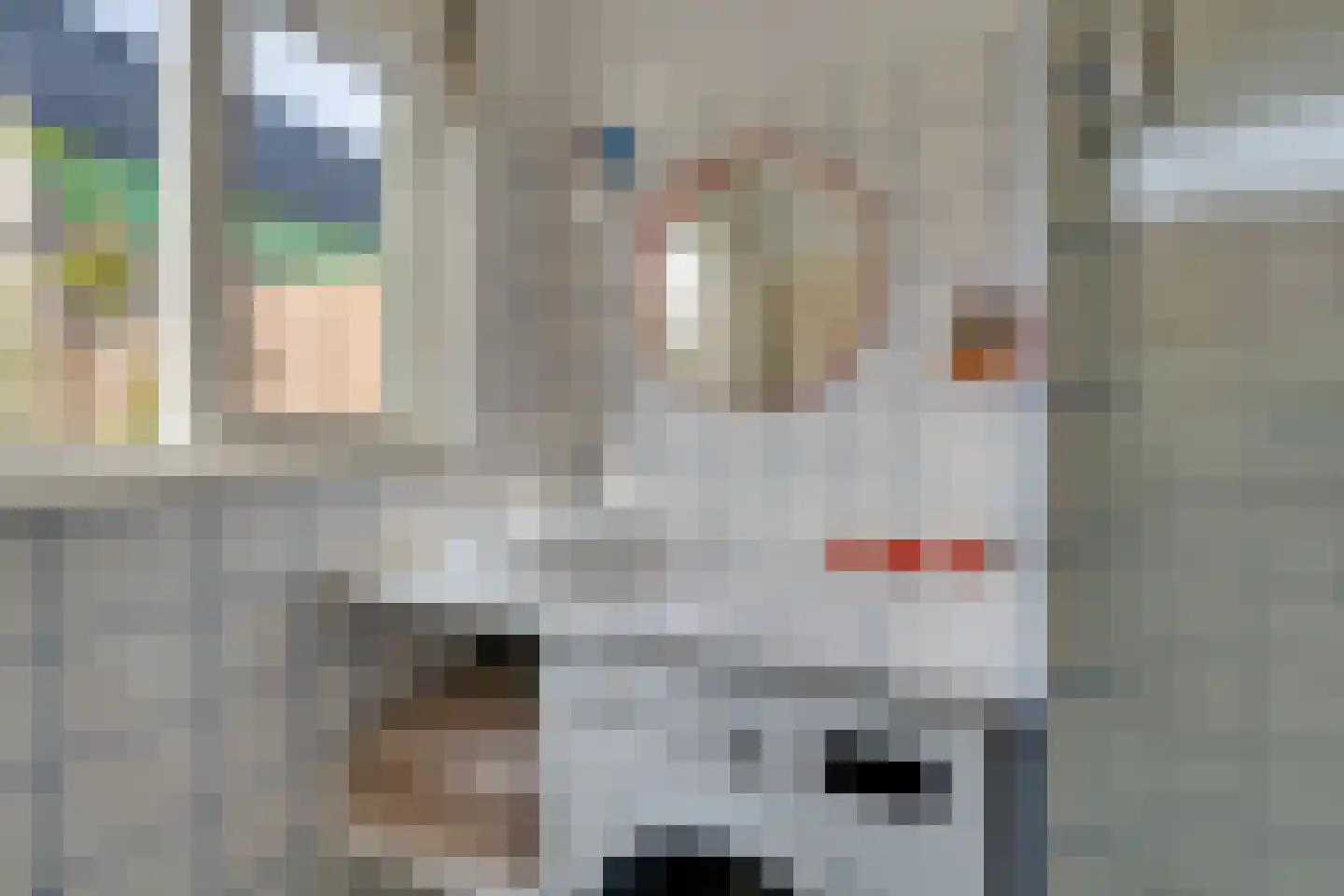 Nieuwe Zijds Burgwal 24 Monnickendam thumbnail 36