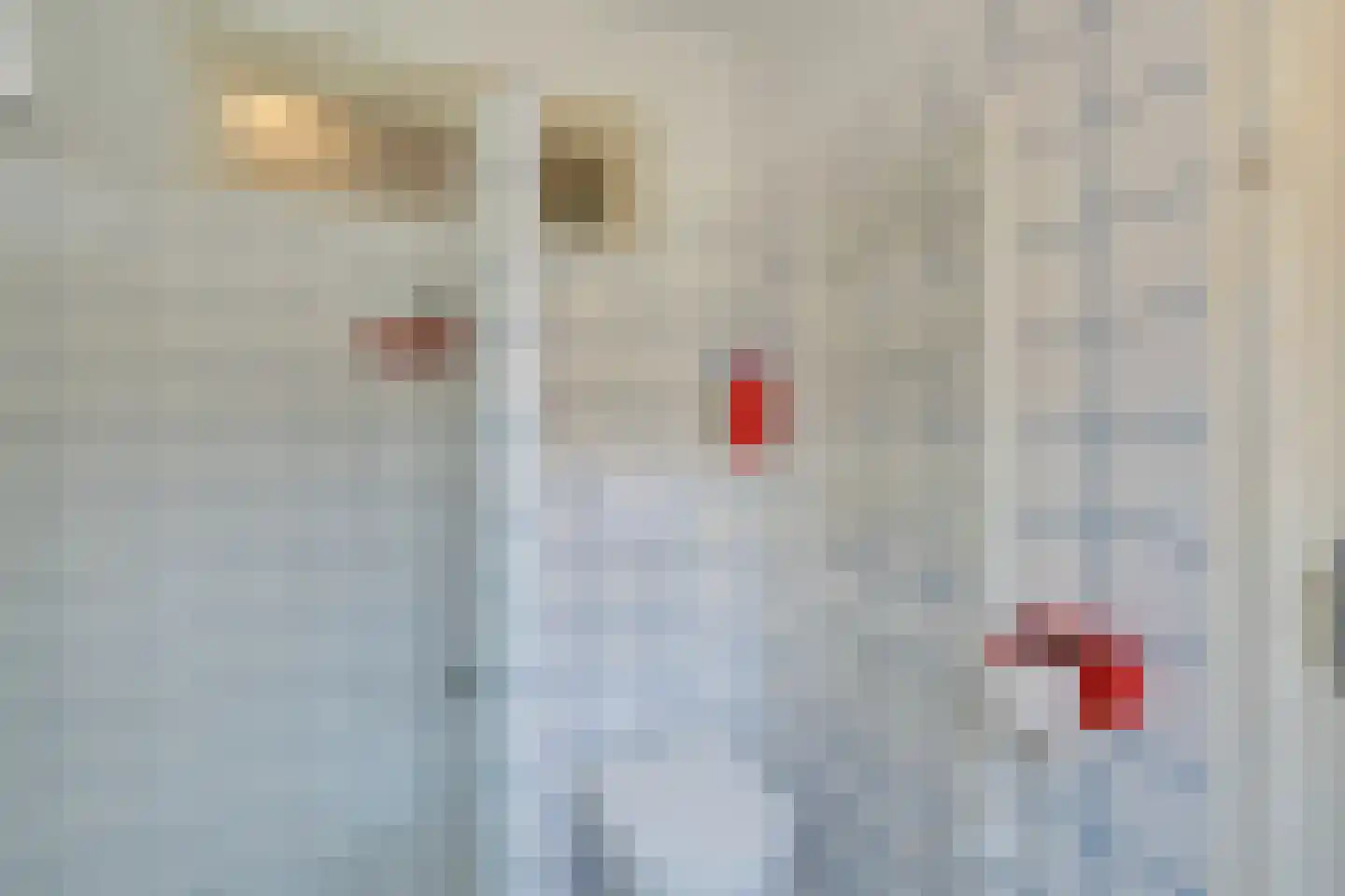 Nieuwe Zijds Burgwal 24 Monnickendam thumbnail 37