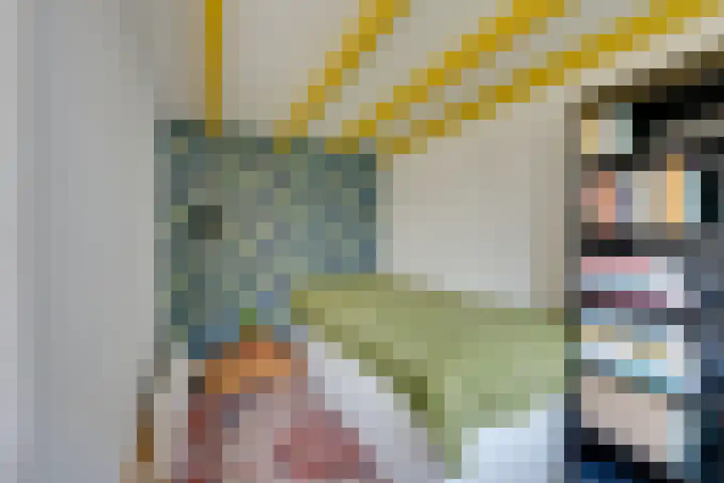 Nieuwe Zijds Burgwal 24 Monnickendam thumbnail 38