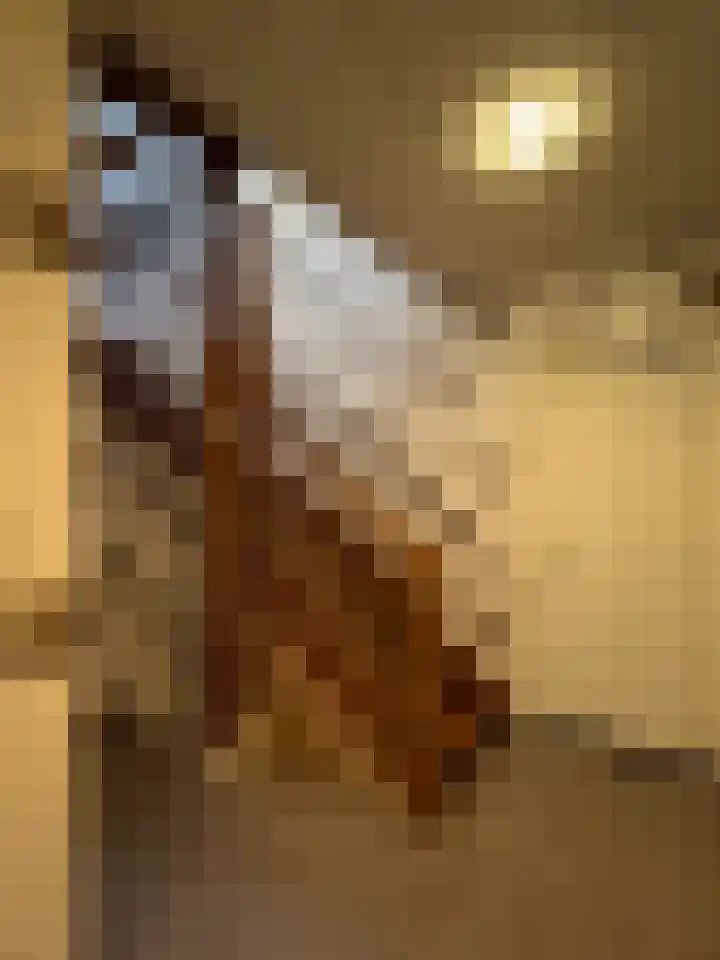 Nieuwe Zijds Burgwal 34 B Monnickendam thumbnail 27