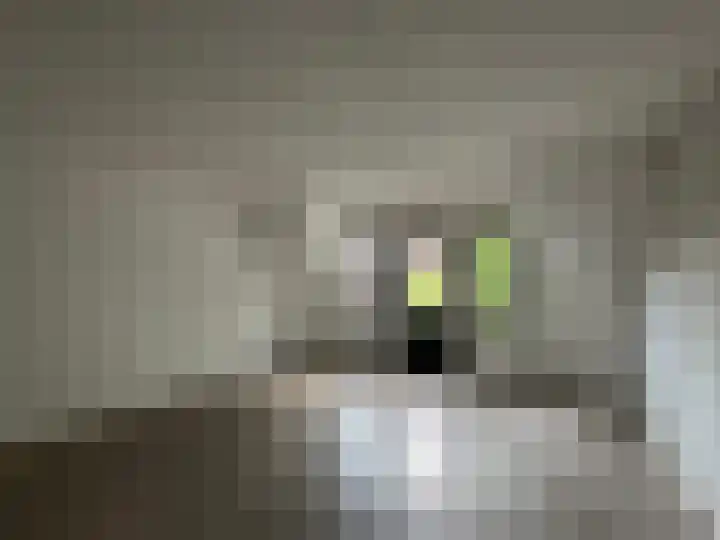Nieuwe Zijds Burgwal 34 D Monnickendam thumbnail 20