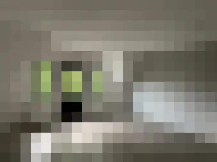 Nieuwe Zijds Burgwal 34 D Monnickendam thumbnail 4