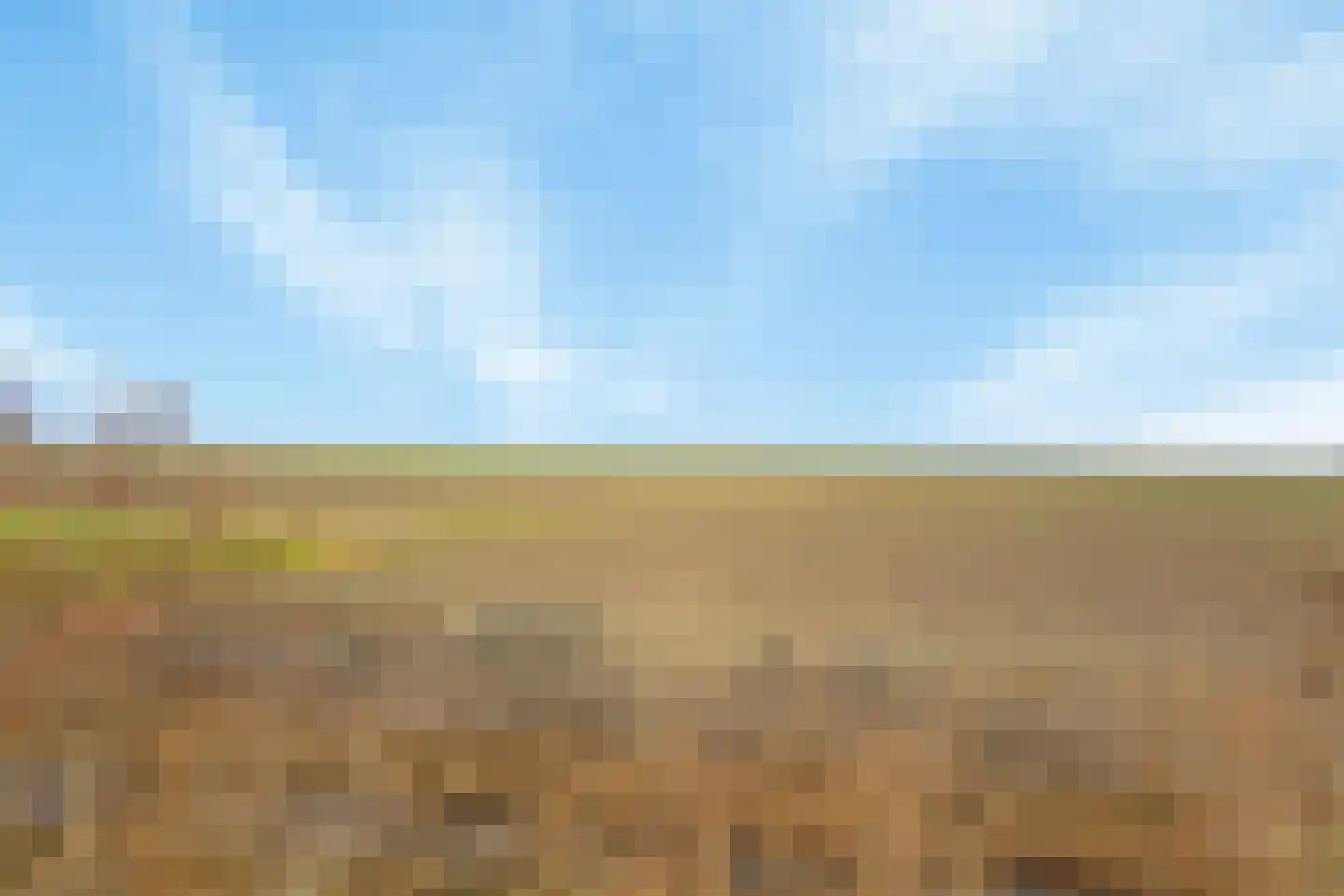 Nieuwebildtdijk 166 Oudebildtzijl thumbnail 41