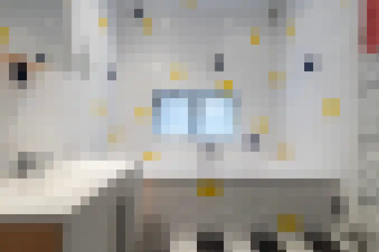 Nieuwebildtdijk 220 St.-Annaparochie thumbnail 14