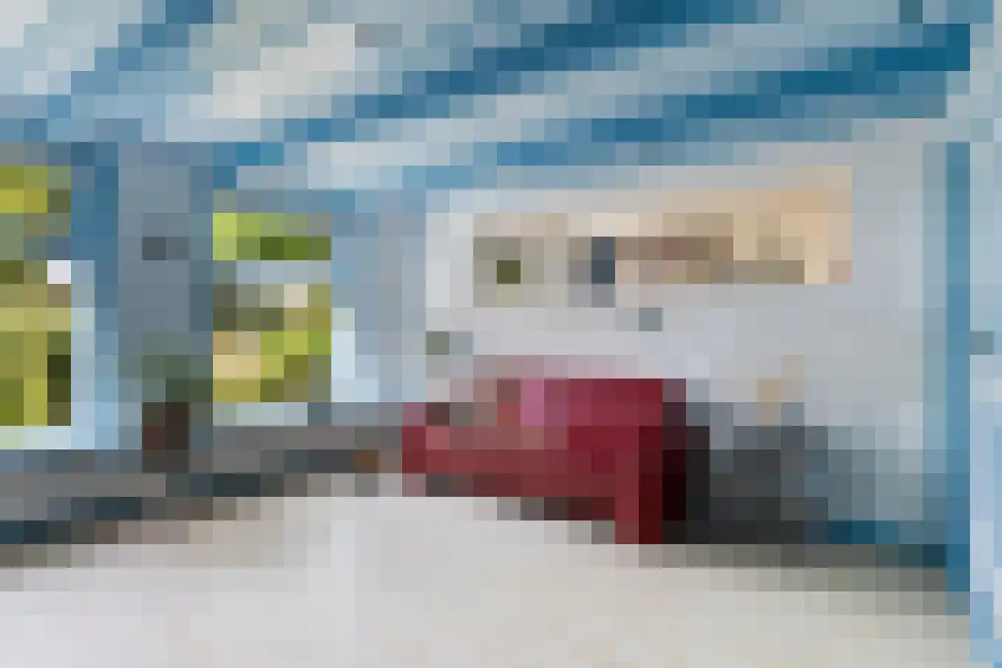 Nieuwebildtdijk 220 St.-Annaparochie thumbnail 30