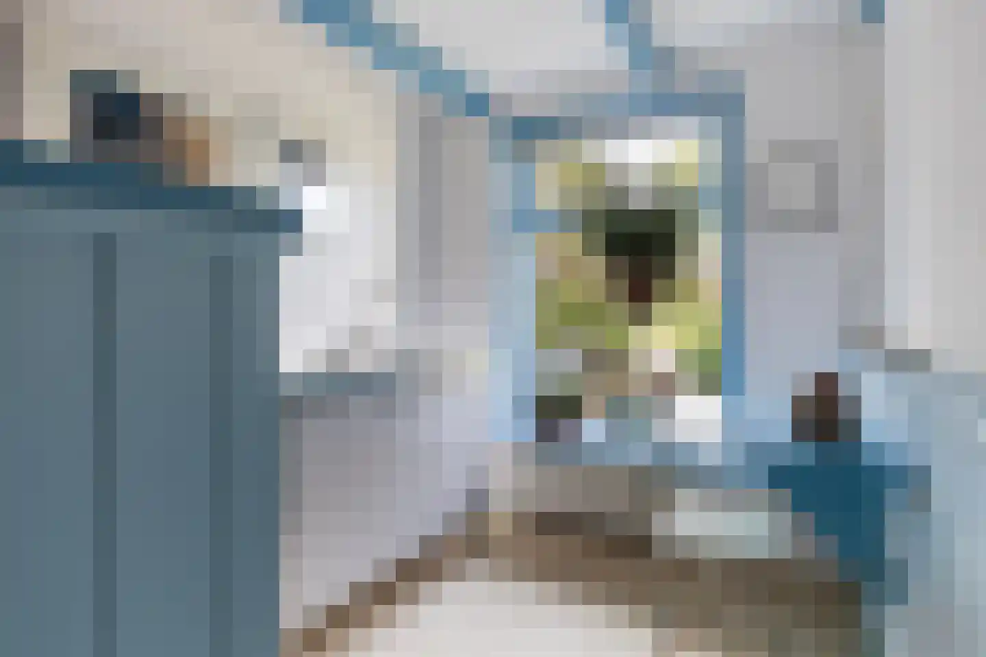 Nieuwebildtdijk 220 St.-Annaparochie thumbnail 34