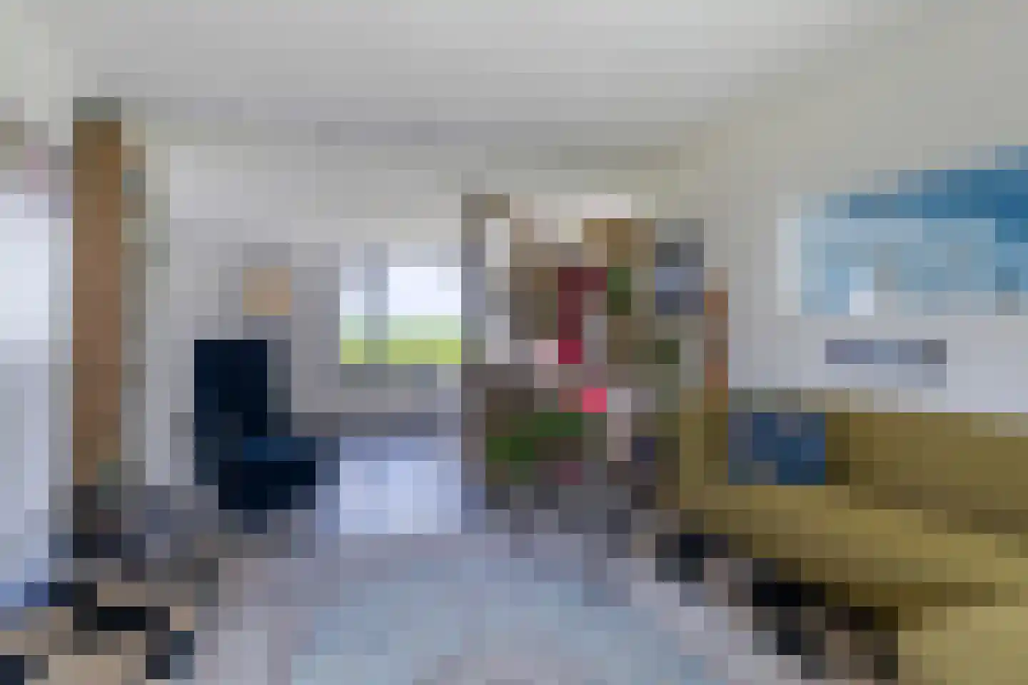Nieuwebildtdijk 220 St.-Annaparochie thumbnail 4