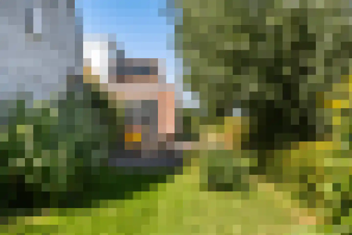 Nieuwebildtdijk 220 St.-Annaparochie thumbnail 46