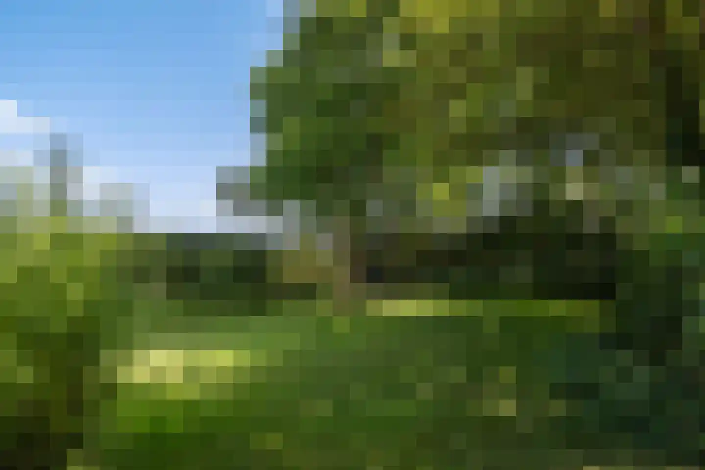 Nieuwebildtdijk 220 St.-Annaparochie thumbnail 47