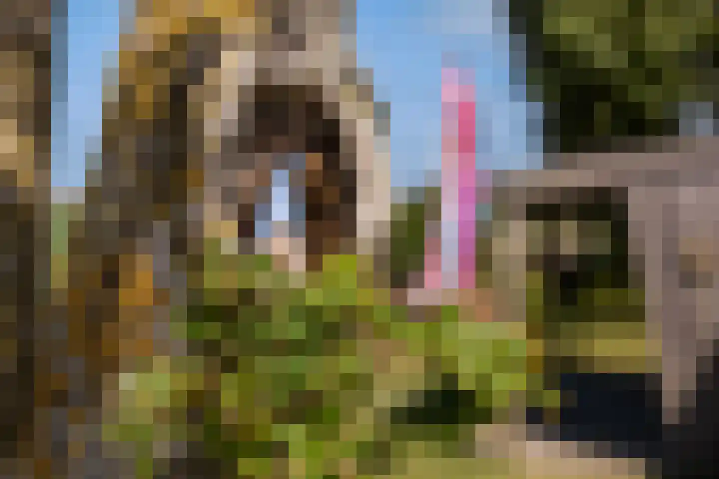 Nieuwebildtdijk 220 St.-Annaparochie thumbnail 55