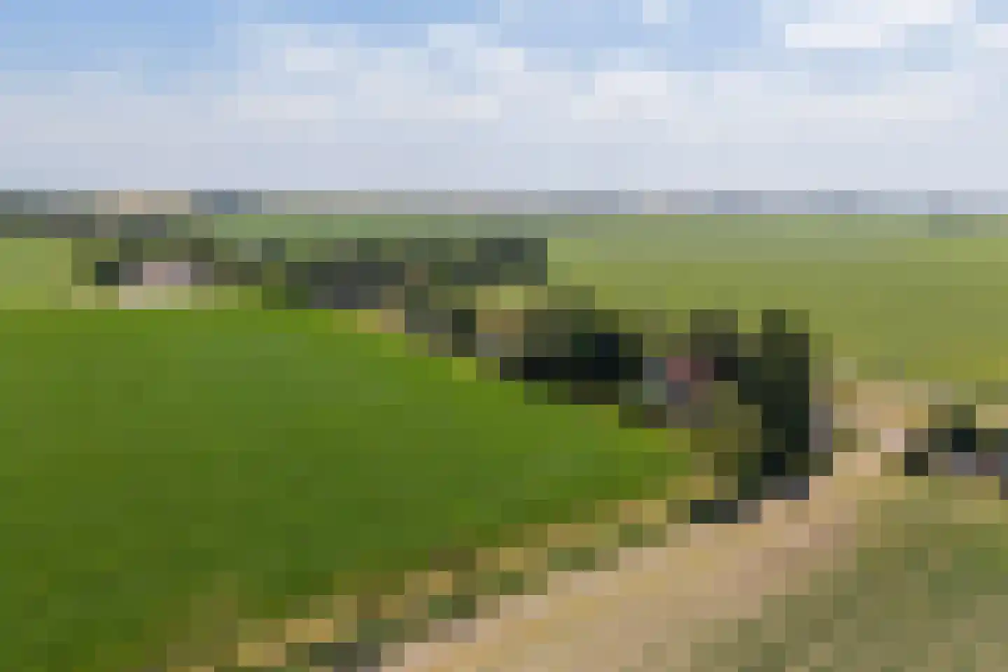 Nieuwebildtdijk 220 St.-Annaparochie thumbnail 59