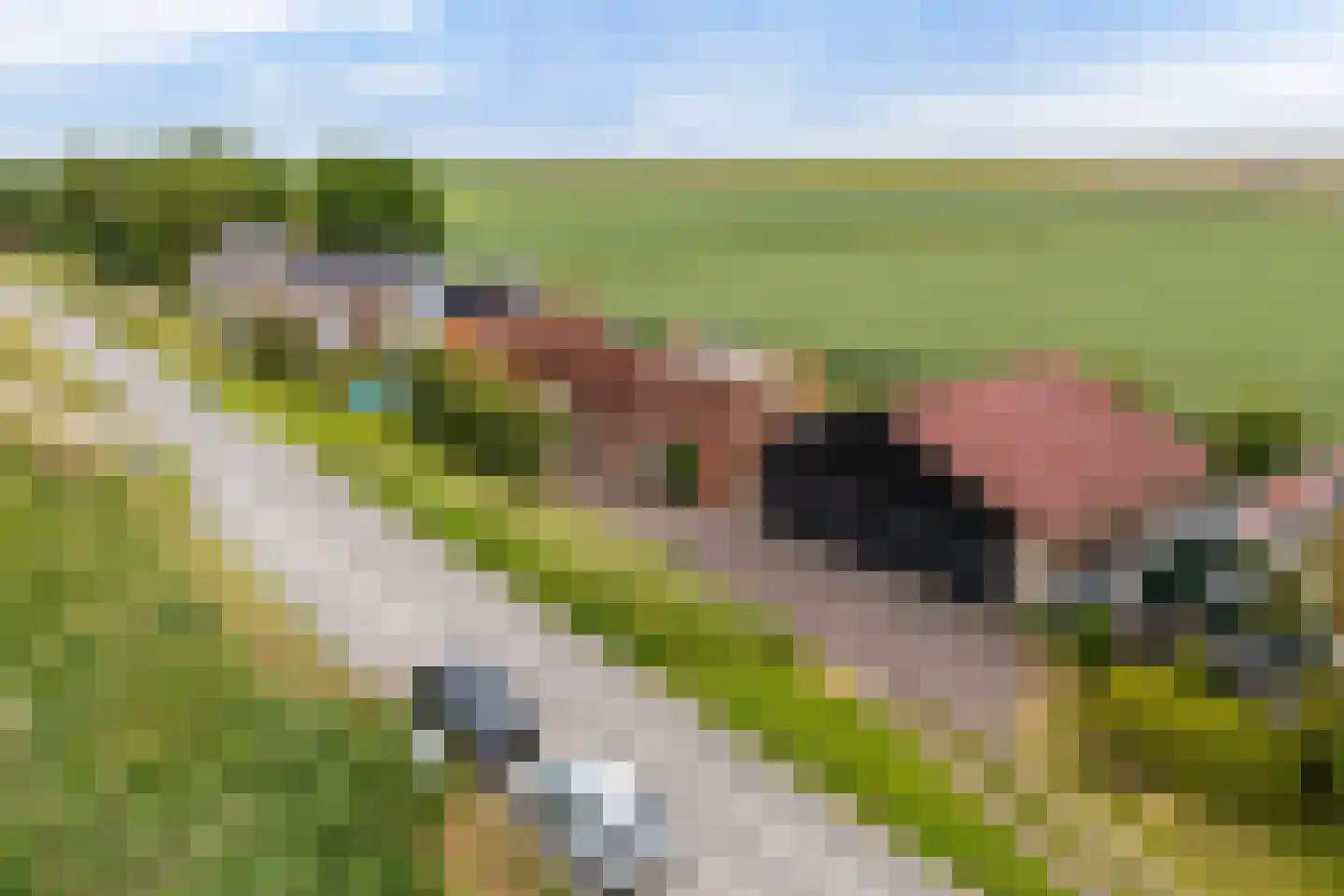 Nieuwebildtdijk 284 St.-Annaparochie thumbnail 37