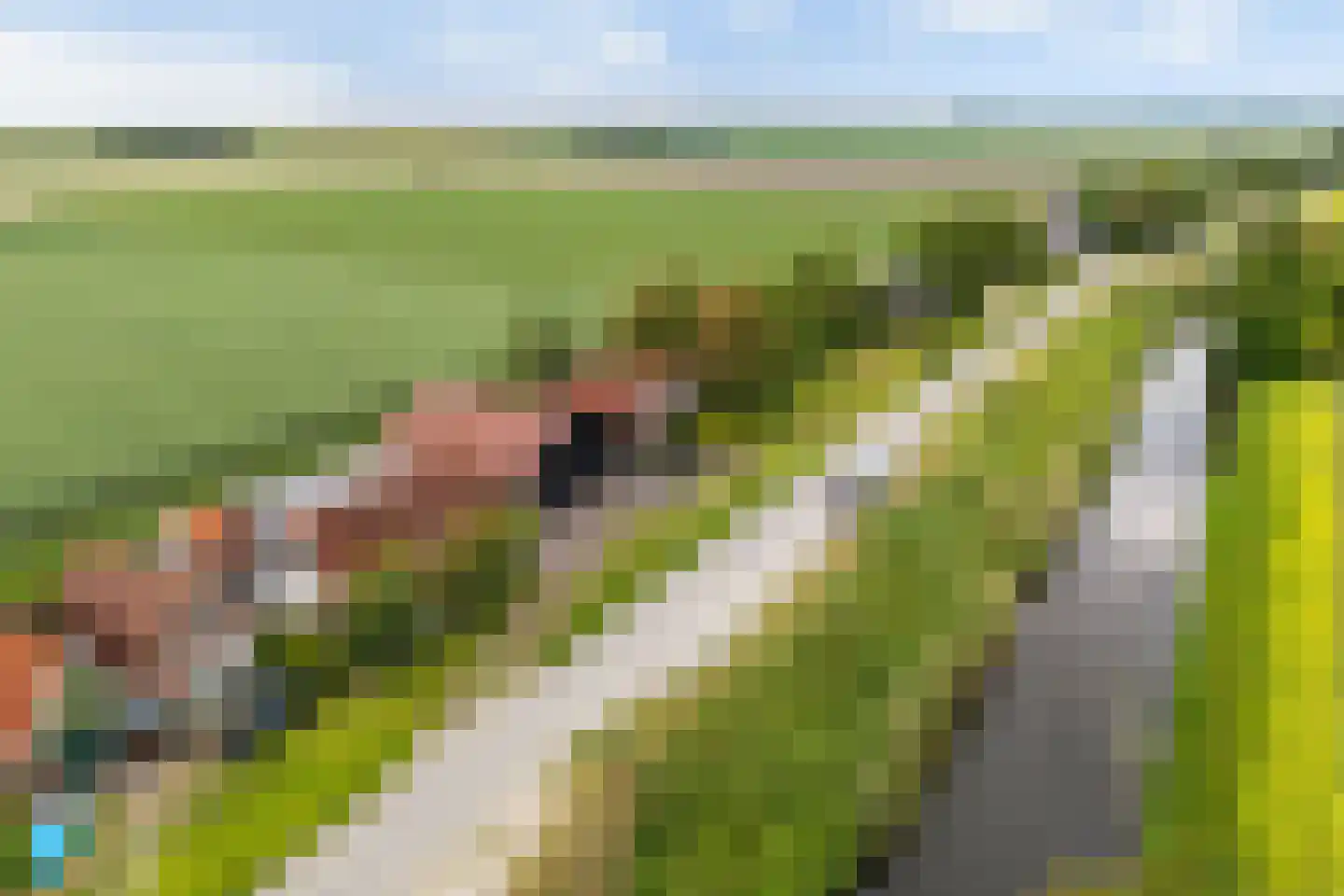 Nieuwebildtdijk 284 St.-Annaparochie thumbnail 38