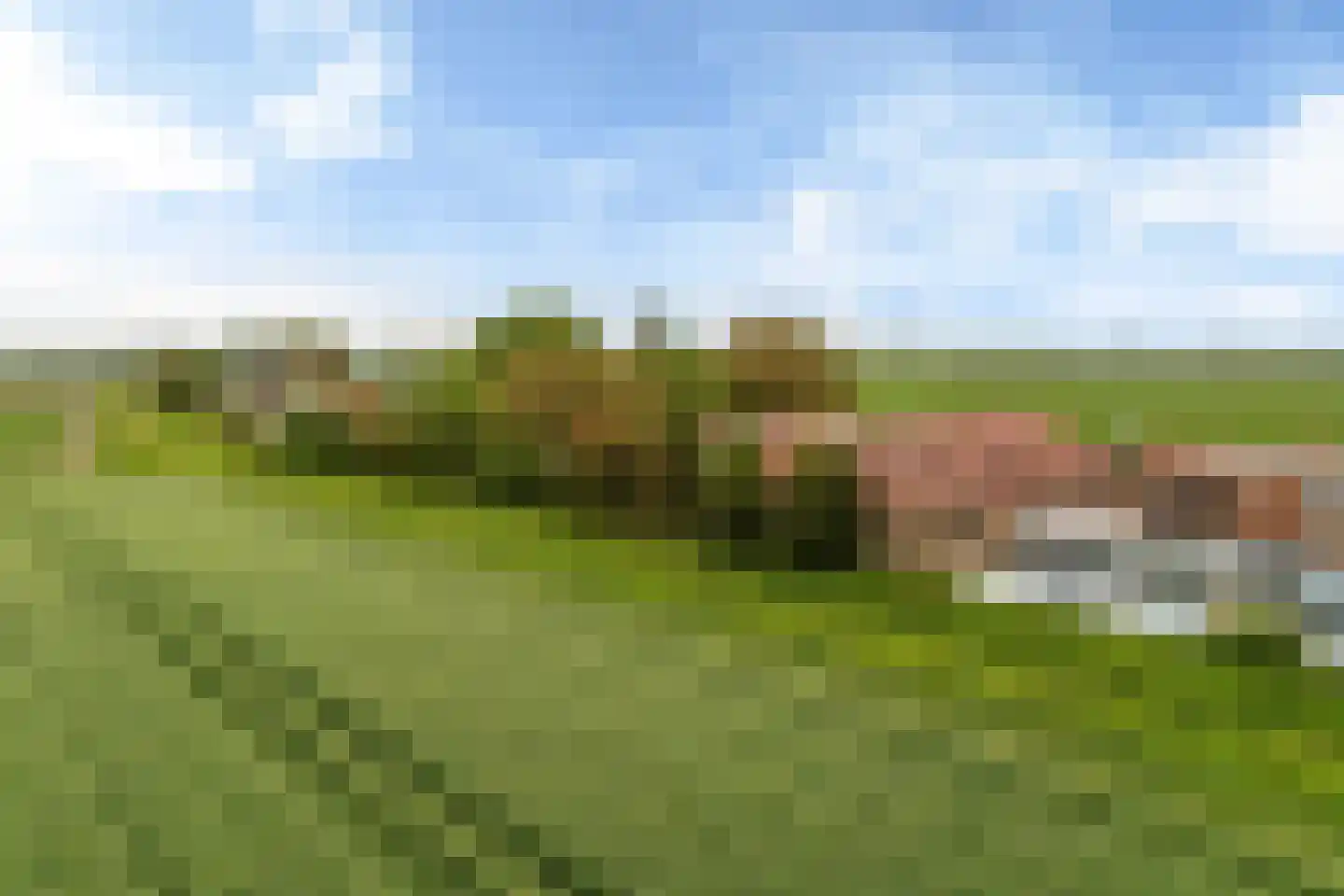 Nieuwebildtdijk 284 St.-Annaparochie thumbnail 39