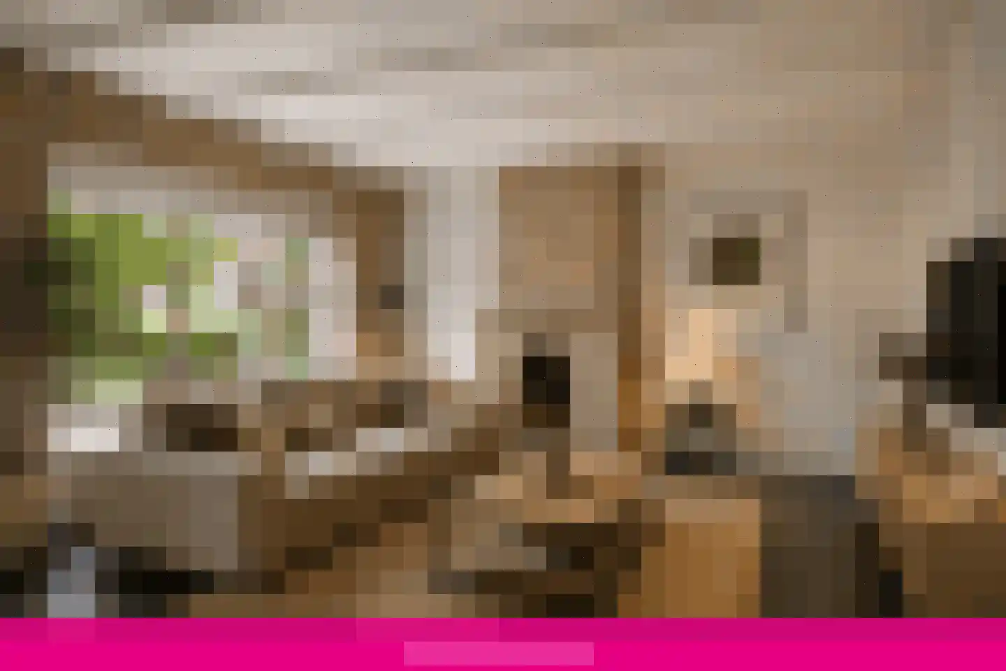 Nieuwebildtdijk 284 St.-Annaparochie thumbnail 9