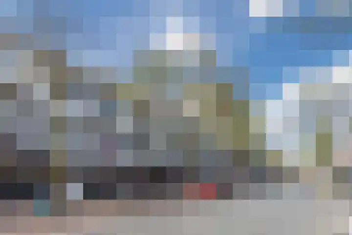 Nieuwebildtdijk 300 St.-Annaparochie thumbnail 26
