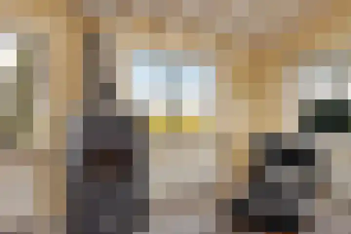 Nieuwebildtdijk 300 St.-Annaparochie thumbnail 27