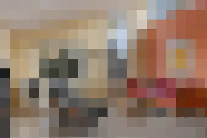 Nieuwebildtdijk 300 St.-Annaparochie thumbnail 28