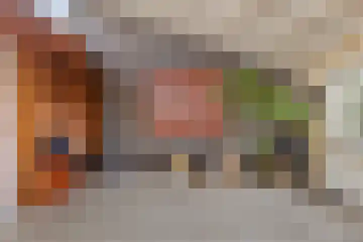 Nieuwebildtdijk 300 St.-Annaparochie thumbnail 30