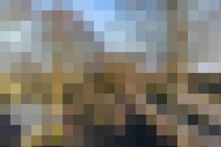 Nieuwebildtdijk 300 St.-Annaparochie thumbnail 31