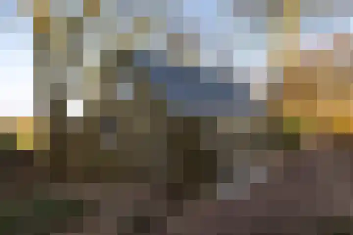 Nieuwebildtdijk 300 St.-Annaparochie thumbnail 34
