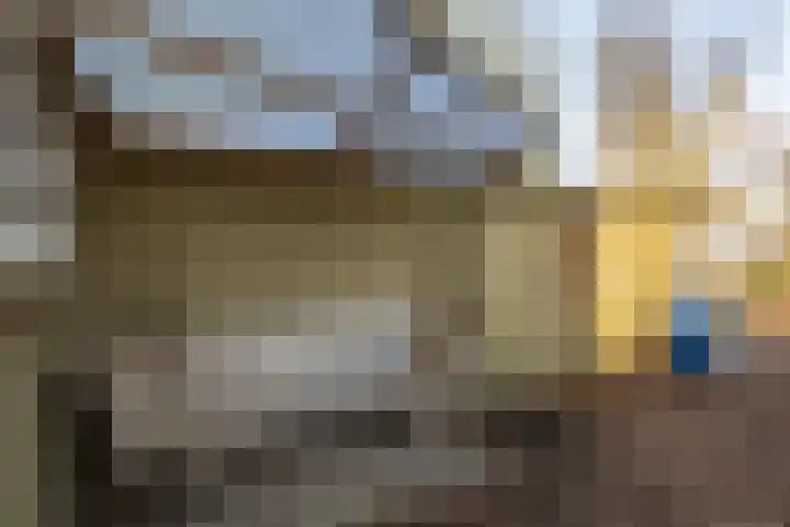 Nieuwebildtdijk 300 St.-Annaparochie thumbnail 36
