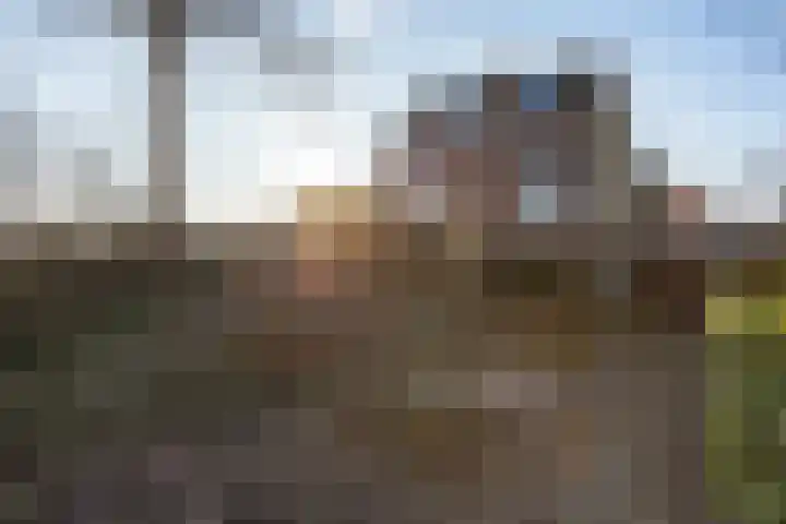 Nieuwebildtdijk 300 St.-Annaparochie thumbnail 39