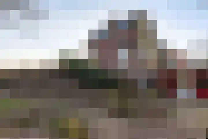Nieuwebildtdijk 300 St.-Annaparochie thumbnail 40